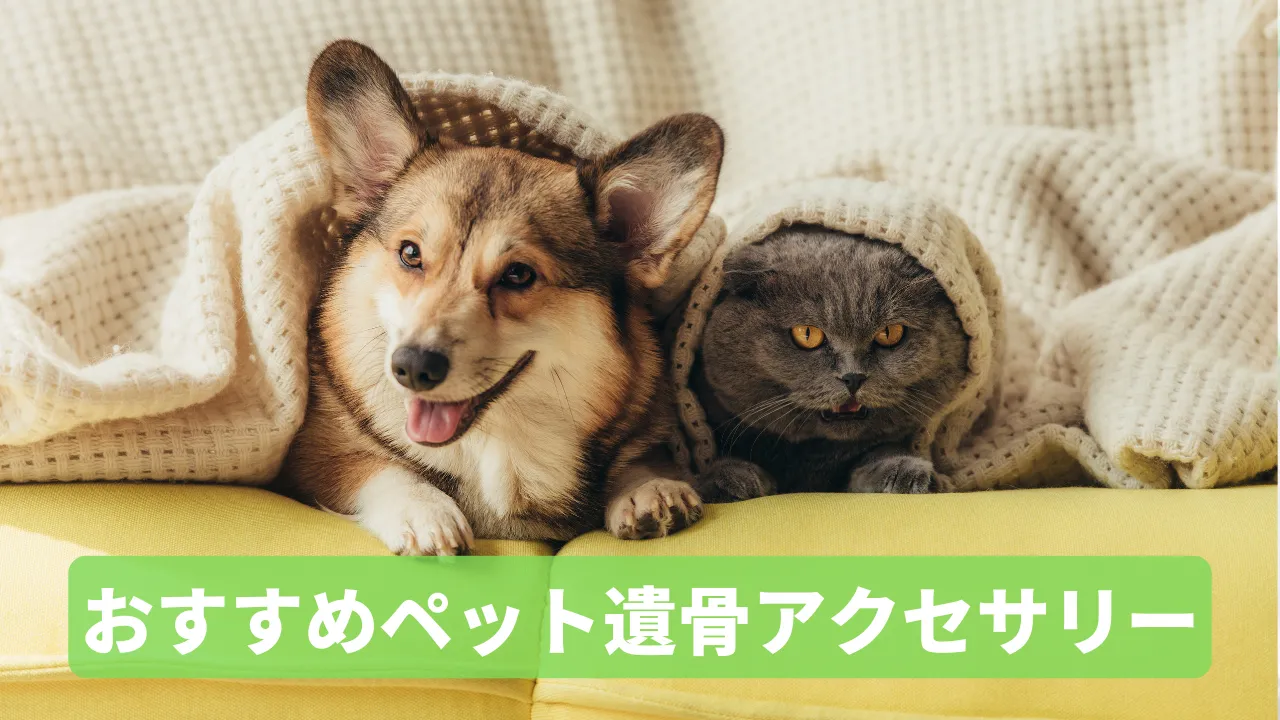 おすすめのペット遺骨アクセサリーを紹介｜ペンダント・キーホルダーなど